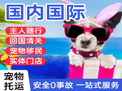巴马空运代理国际宠物托运 【国